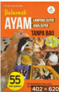Image of Beternak ayam kampung super jawa super tanpa bau