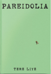 Image of Pareidolia